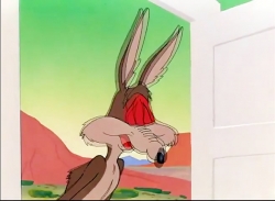 کایوت و رودرانر (فصل 3 - قسمت 7)